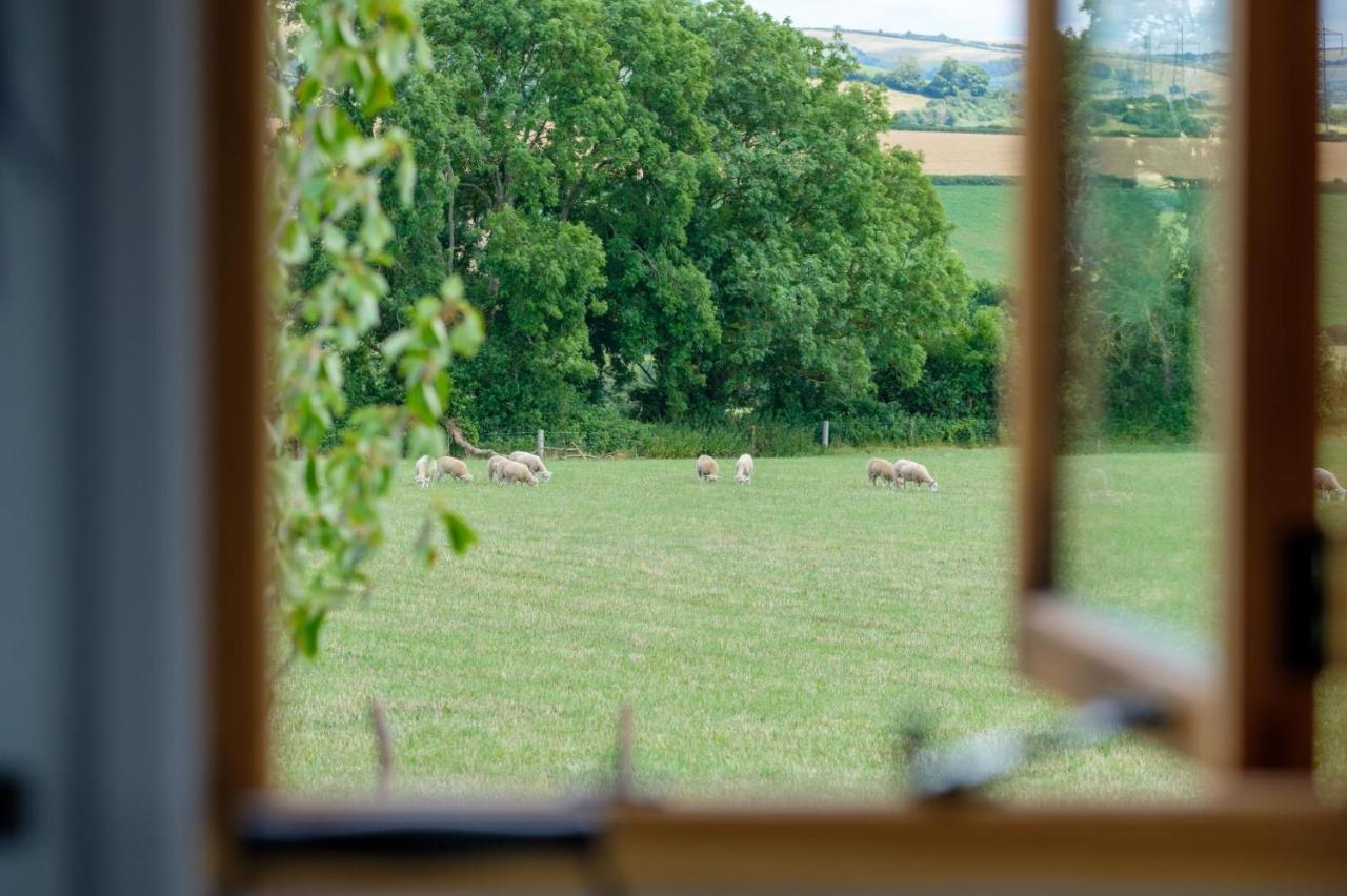 Honey Bee - Comfortable Luxury Shepherds Hut With Hot Tub *